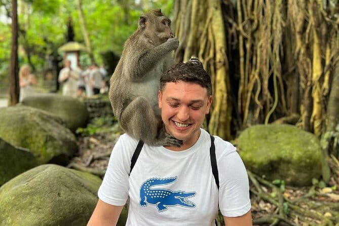 Ubud Full Day - Monkey Forest, Rice Terrace and Waterfalls Tour - Hotel pickup and timing: how the 10-hour day stays on track