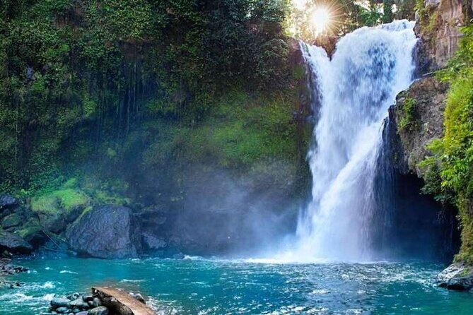 Ubud Full Day Tour Waterfall Monkey Forest Rice Terrace - Ubud in one day: what this route gets right