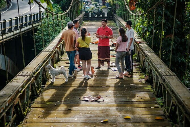 Ubud Guided Walking Tour - Key highlights at a glance