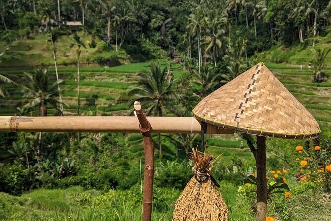 Ubud Half Day Zipline and Jungle Swing - Rice Terraces From Above: Swing Height, Zipline Energy, and Photo Spots