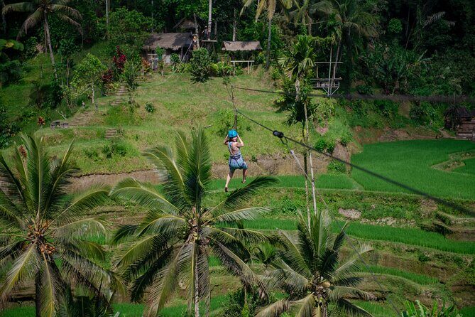 Ubud Half Day Zipline and Jungle Swing - Price and Value: What You’re Getting for About $69.80