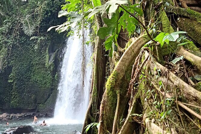 Ubud Half Day Zipline and Jungle Swing - Who This Ubud Zipline and Swing Trip Fits Best