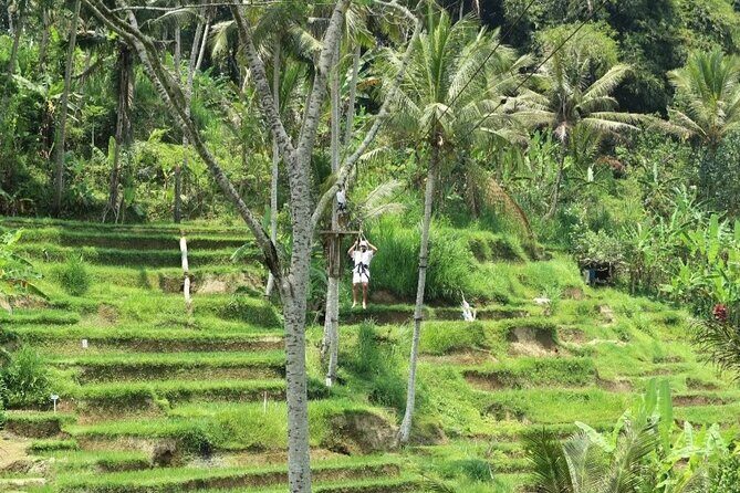 Ubud Half Day Zipline and Jungle Swing - Should You Book This Ubud Zipline and Jungle Swing Combo?