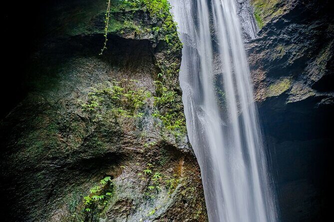 Ubud Hidden Gems Waterfalls and Private tour - Tegalalang rice terraces: UNESCO walking with built-in photo time