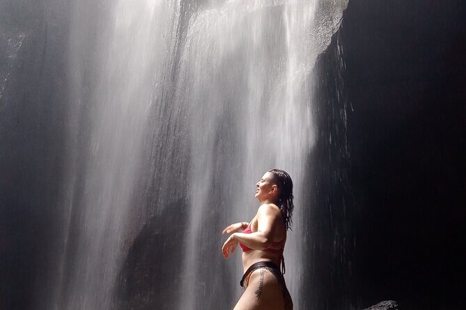 Ubud Hidden Gems Waterfalls and Private tour - Cantik Agriculture plantation: tropical plants, uses, and fruit sampling