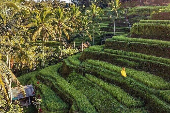 Ubud Hidden Waterfalls and Rice Terrace Tours - Aloha Ubud Swing at 16:00: Fun Photos, Separate Cost