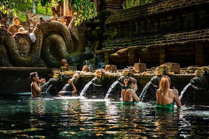Ubud Highlight: Best of Ubud Private Day Tour with Local Guide - Sacred Monkey Forest Sanctuary: Macaques, Mossy Temples, and Morning Energy