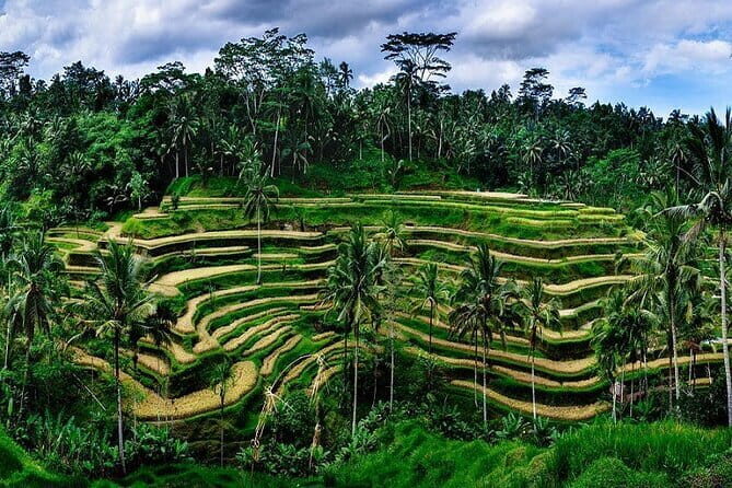 Ubud Highlight Private Charter with Jungle Swing - A full-day Ubud mix: temples, craft, and the swing over the jungle gorge
