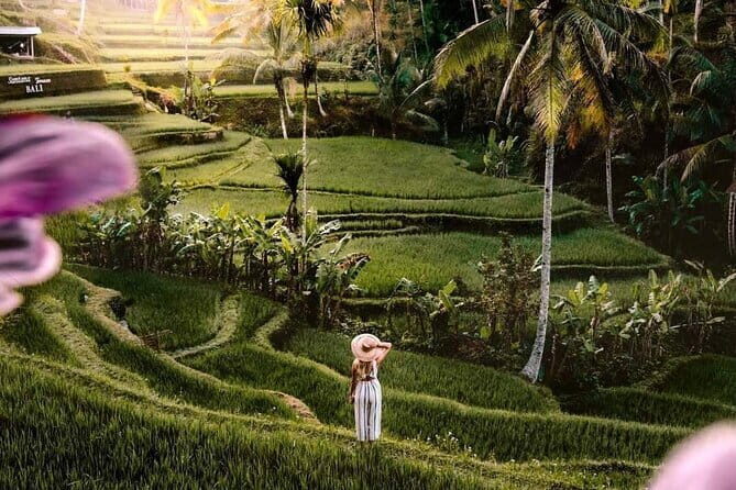 Ubud Highlights -Private Tour,Temples, Waterfalls & Rice terraces - Key things to know before you go
