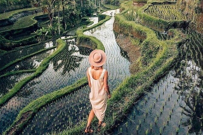 Ubud Highlights -Private Tour,Temples, Waterfalls & Rice terraces - Seminyak to Ubud: how the day actually moves