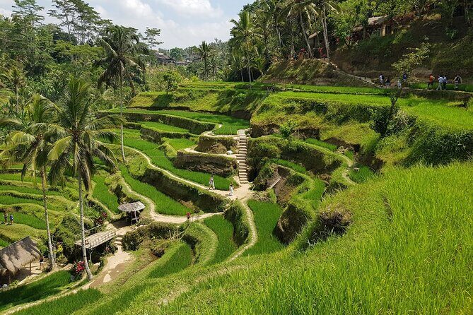 Ubud Highlights Rice Terraces, Temple, Waterfall & Monkeys forest - Tegalalang Rice Terrace: big views and photo-friendly stops