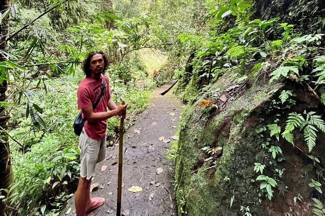 Ubud Highlights Shared Tour – Small Group Full-Day Experience - Small-group Ubud highlights with pick-up at Bank Pembangunan Daerah Bali