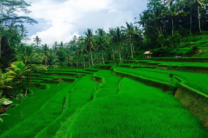Ubud Highlights Tour ( Private All-Inclusive ) - First Stop: Tohpati Village for Batik Craft