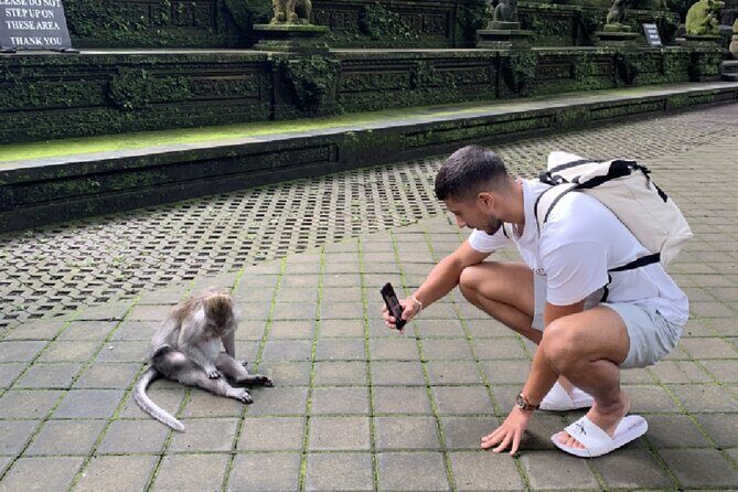 Ubud Higlights Full Day Tour - Private Tour Experience - Who This Tour Fits Best (and Who Might Want Something Else)