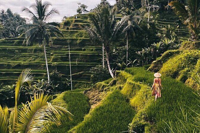 Ubud Higlights Full Day Tour - Private Tour Experience - Photo and Comfort Checklist for Your Day in Ubud
