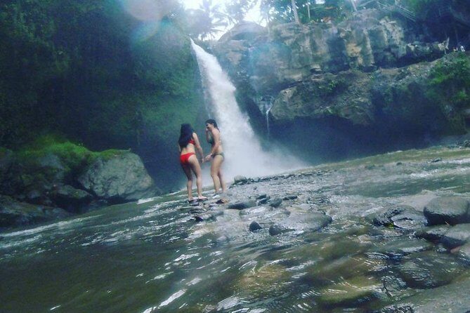 Ubud Hot Springs and Waterfall Private Guided Tour - Tegalalang Rice Terrace + Happy Swing Bali: Iconic Views With Stairs