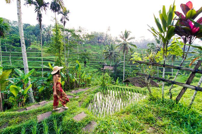 Ubud Iconic Full Day Tour Monkey Forest Rice Terraces Waterfalls - Key Highlights You’ll Actually Notice