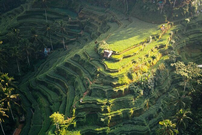 Ubud Iconic Full Day Tour Monkey Forest Rice Terraces Waterfalls - Tirta Empul Temple: Watch a Living Ritual, Keep Your Respect On