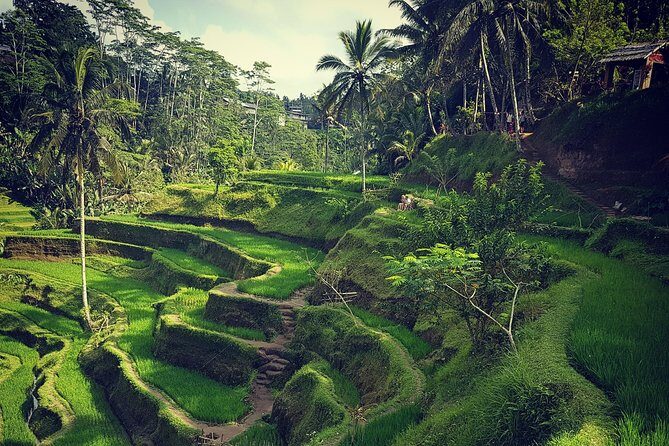 Ubud iconic waterfall and temple tours - Why this Ubud day hits the big icons