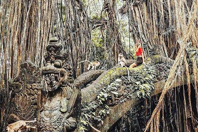 Ubud iconic waterfall and temple tours - Stop 4: Tegenungan Waterfall with a chance to swim