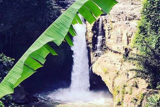 Ubud iconic waterfall and temple tours - The 8:00 am start: timing, comfort, and what to expect