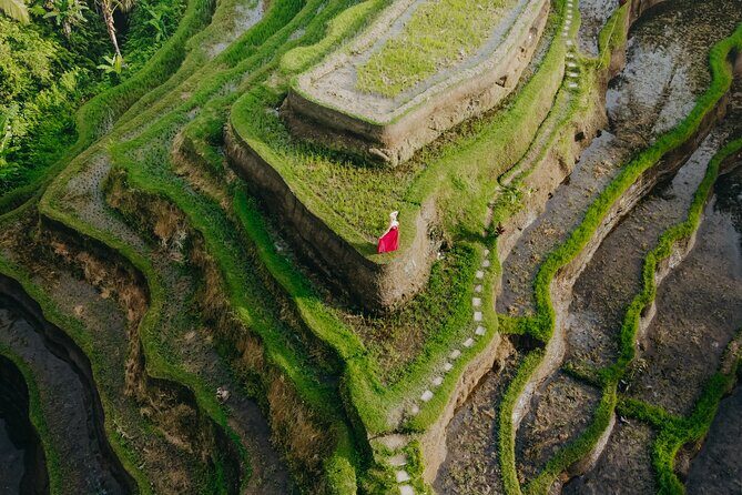 UBUD Instagram Spot Tour with Photographer - Happy Swing Bali: the jungle swings and what to budget for