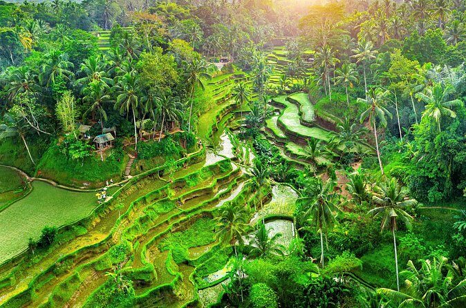 Ubud Jungle Adventure: Tirta Empul & Bali Swing - Stop 4: Tirta Empul Temple and what purification rituals mean