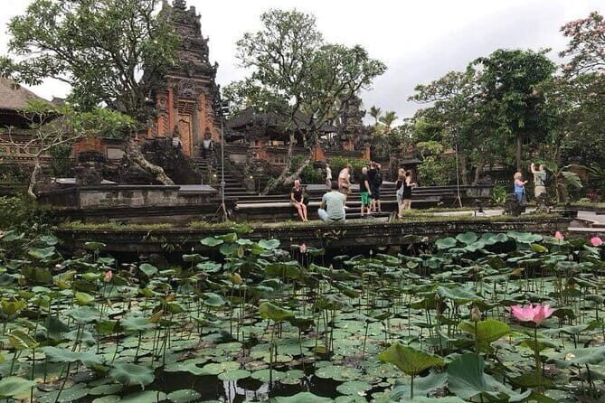 Ubud Jungle Cart Adventure + Volcano view Tour. - Ubud Day Plan: 8:30 start, private pickup, and an action-to-culture flow