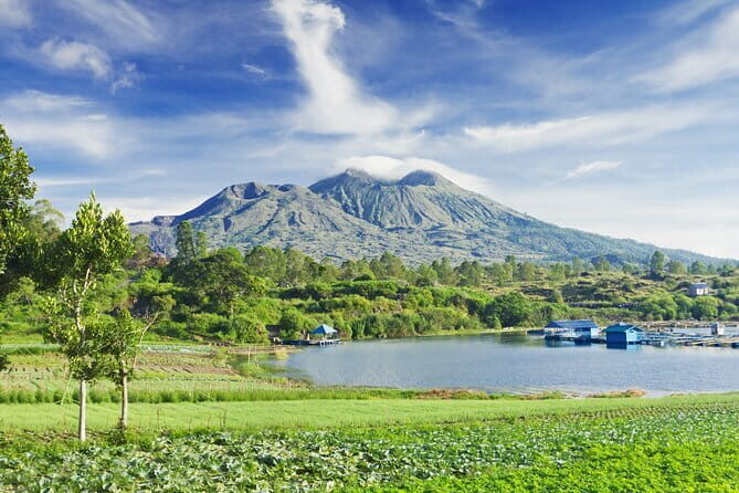 Ubud Jungle Cart Adventure + Volcano view Tour. - Mount Batur viewpoint: a short 40-minute volcano moment