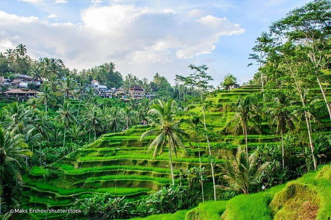 Ubud Jungle Cart Adventure + Volcano view Tour. - Your guide makes (or breaks) the shopping and culture part