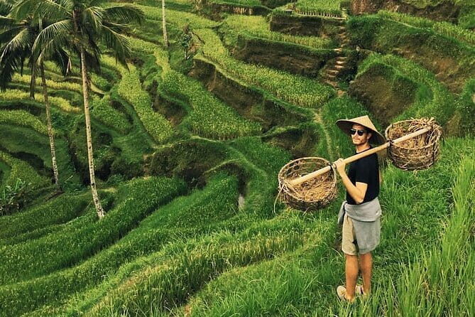 Ubud Jungle Swing - Monkey Forest - Water Temple - Waterfall - Key takeaways before you go