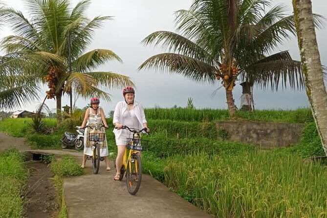 Ubud : Kintamani Downhill Cycling Tour with Lunch - Why the Ubud to Kintamani Downhill Route Feels So Much Easier