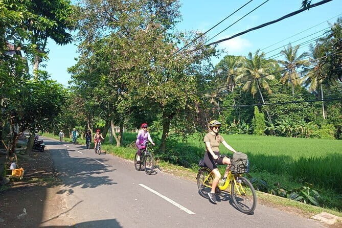 Ubud : Kintamani Downhill Cycling Tour with Lunch - Group Size, Transfers, and Timing: How the Day Stays Comfortable