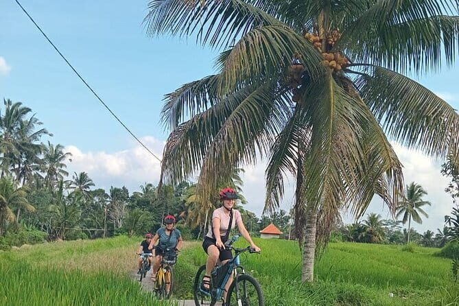 Ubud : Kintamani Downhill Cycling Tour with Lunch - Pura Desa Malet Gusti: Temples, School, and Real Village Rhythm