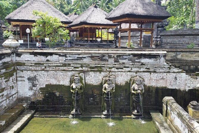 Ubud Kintamani Tour - Price and value: what $60 gets you (and why it matters)