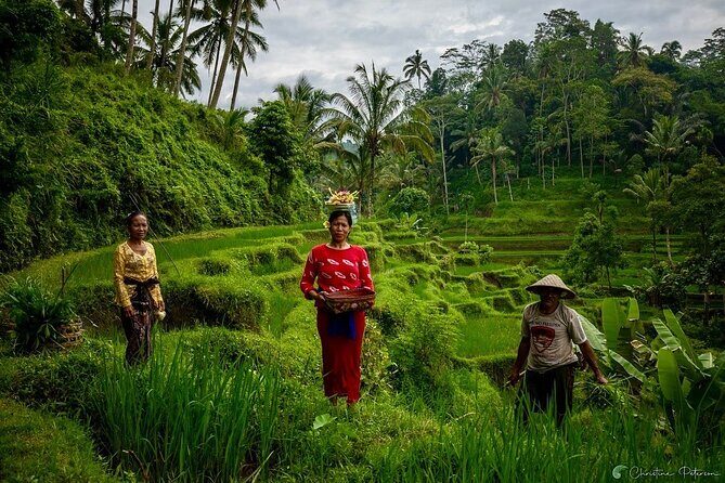 Ubud Monkey Forest - Rice Terrace - Jungle Swing - Water Temple - What to bring for a full, active Bali day