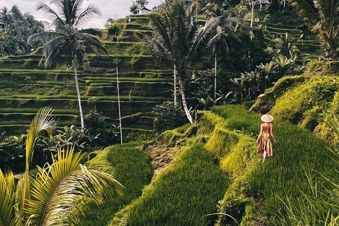 Ubud Monkey Forest, Rice Terrace & Tirta Empul Temple Tour - Key points to know before you go