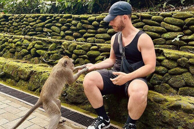 Ubud Monkey Forest, Rice Terrace & Tirta Empul Temple Tour - Price and what you actually get for $24.30
