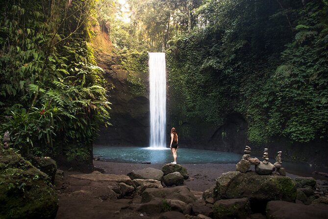 Ubud : Monkey Forest, Rice Terrace, Waterfall, Swing - Quick Hits Before You Go
