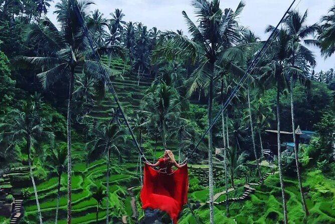 Ubud : Monkey Forest, Rice Terrace, Waterfall, Swing - Monkey Forest Sanctuary: What to Expect at the First Stop