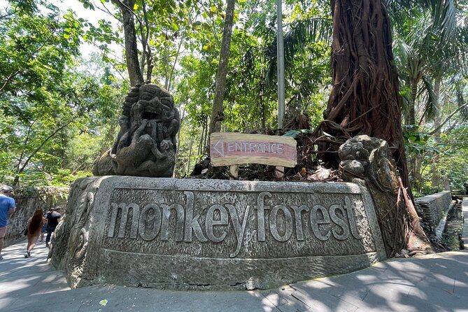 Ubud Monkey Forest Sanctuary Entrance Ticket All Inclusive - Sacred Monkey Forest Sanctuary: What You’re Really Seeing in Ubud