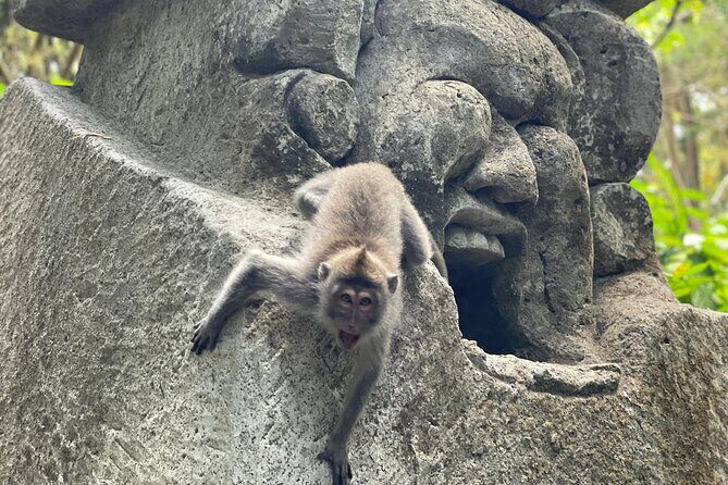 Ubud Monkey Forest Sanctuary Entrance Ticket All Inclusive - Monkey Time: Photos, Temples, and How to Make It Feel Worth It