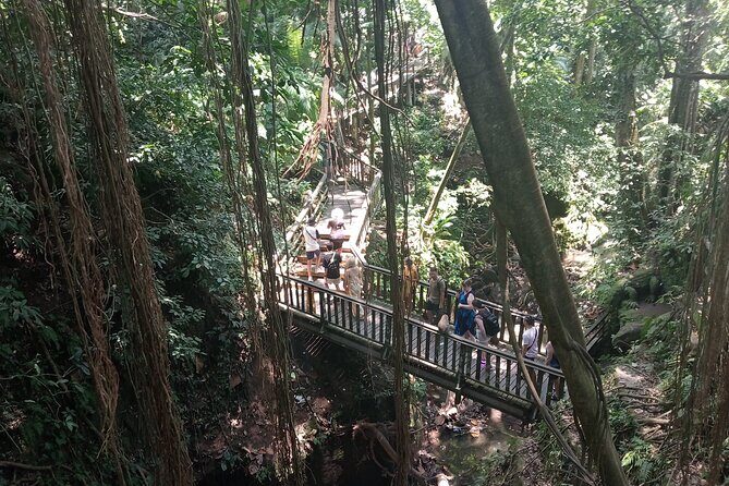 Ubud Monkey Forest Sanctuary Entrance Ticket All Inclusive - Price and Value: Is $36.67 Fair for What You Get?