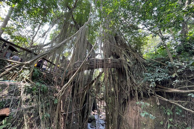 Ubud Monkey Forest Sanctuary Entrance Ticket All Inclusive - Who This Ubud Monkey Forest Visit Fits Best