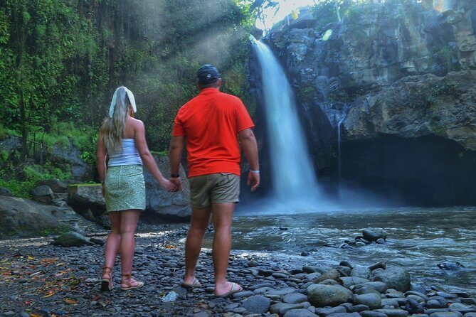 Ubud Monkey Forest Sanctuary Tours and Cretya - Price and value: what $73 includes, and why it can be fair