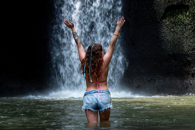 Ubud Monkey Forest, Scenic Rice Terrace with Swing and Waterfall - Key takeaways before you go