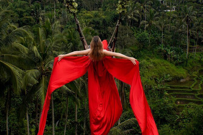 Ubud Monkey Forest, Scenic Rice Terrace with Swing and Waterfall - How this 10-hour Ubud circuit actually plays