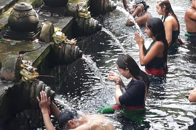 Ubud Natural Gems And Secret Waterfall Private Guided Tour - Tampaksiring Flower Gate Photos and Tirta Empul Purification Ritual