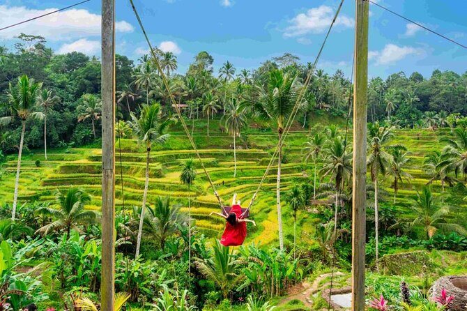 Ubud Private Chasing Waterfall and Water Temple Tour - Tegalalang Rice Terraces: turning the day toward views