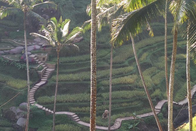 Ubud Private & Customize Day Tour - Starting early in Ubud: why the 6:00 am start matters